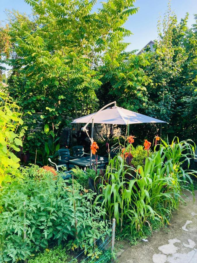 Guest House Barbi Μπατούμι Εξωτερικό φωτογραφία