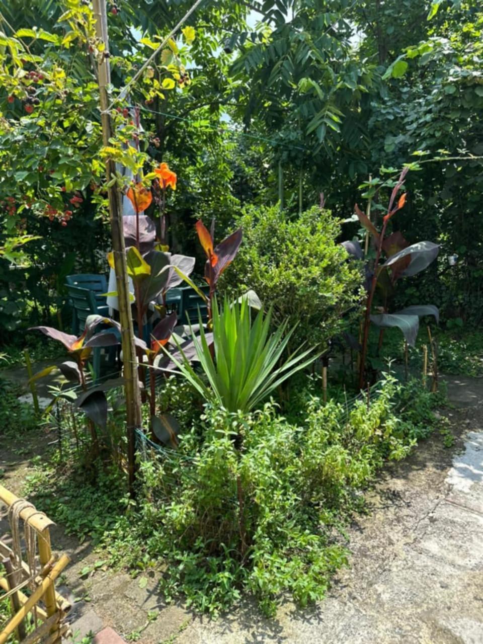 Guest House Barbi Μπατούμι Εξωτερικό φωτογραφία