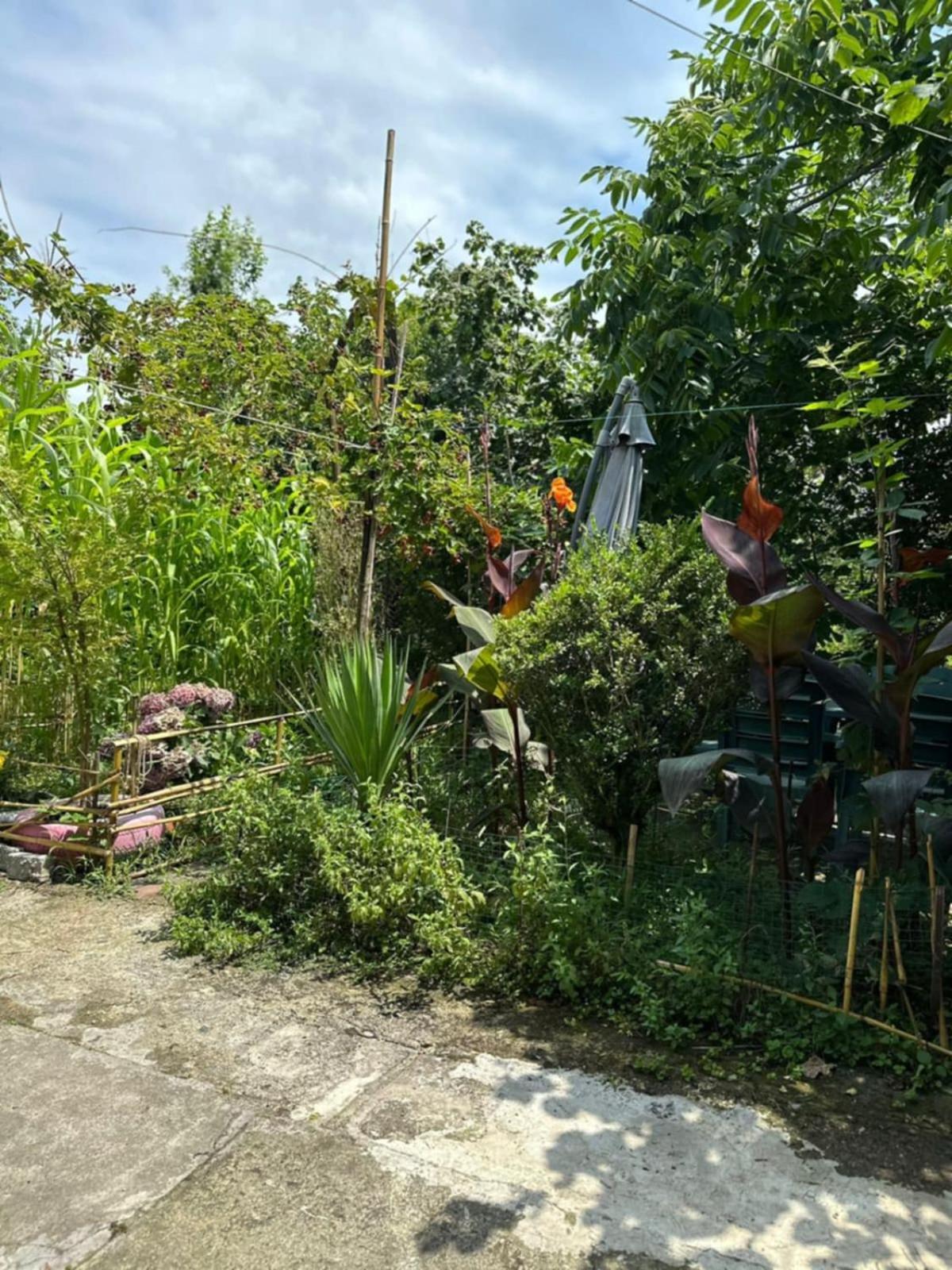 Guest House Barbi Μπατούμι Εξωτερικό φωτογραφία