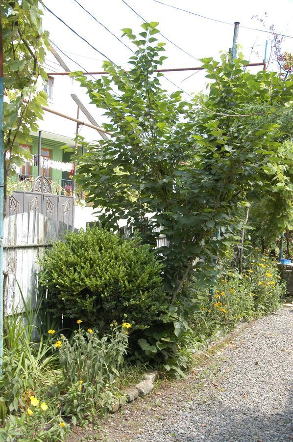 Guest House Barbi Μπατούμι Εξωτερικό φωτογραφία